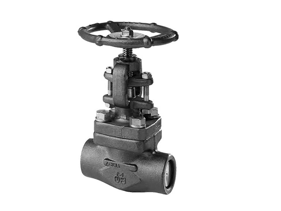 OMB Valves F38308 1" Globe Valve Class 300 RP RF A105N CS Graphite